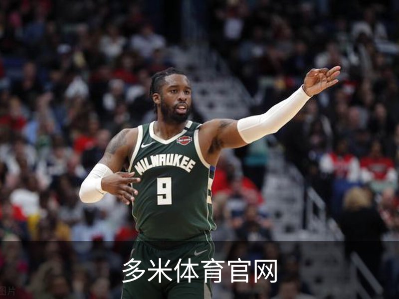 多米体育官网简介